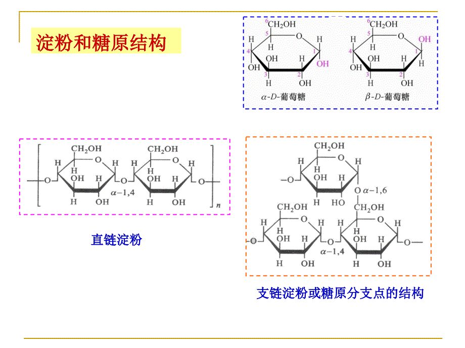 生物化学：第五章 糖代谢_第4页