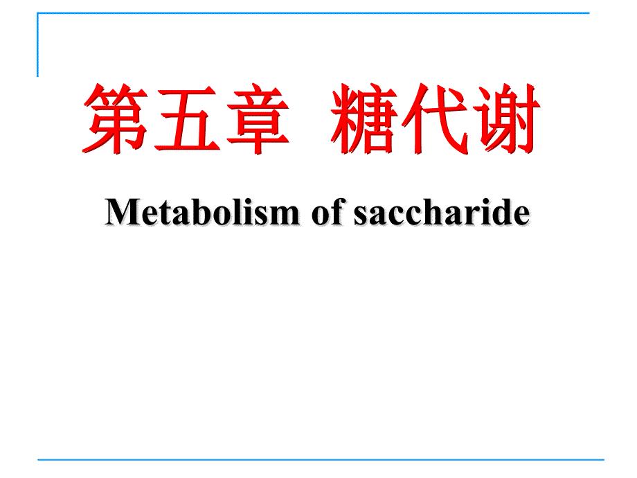 生物化学：第五章 糖代谢