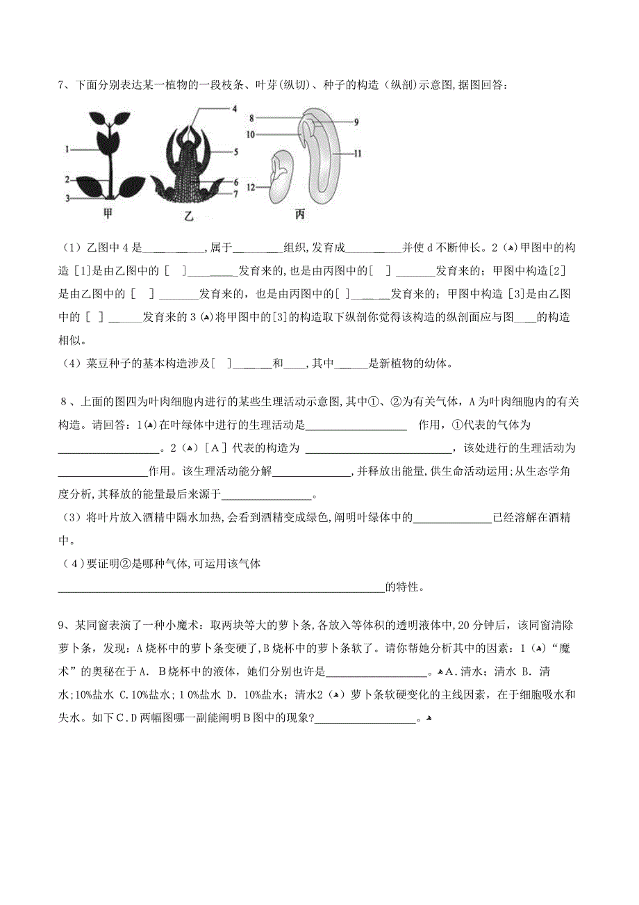 生物圈中的绿色植物训练题_第4页