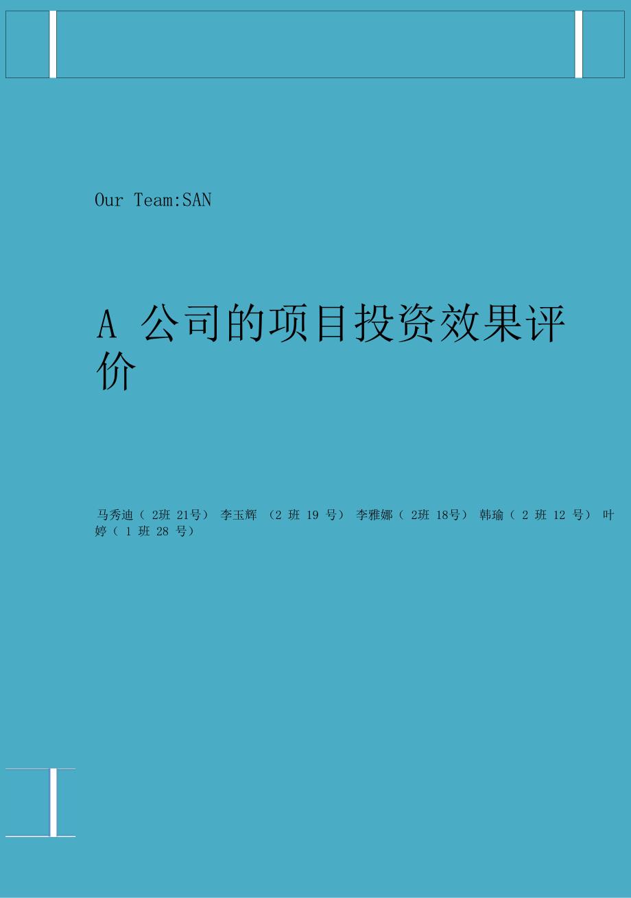 A公司的项目投资效果评价_第1页