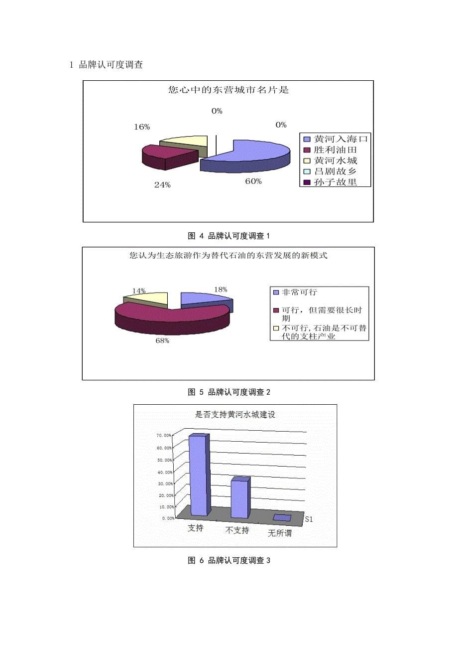 东营市黄河三角洲生态旅游开发现状及发展前景的调研报告_第5页