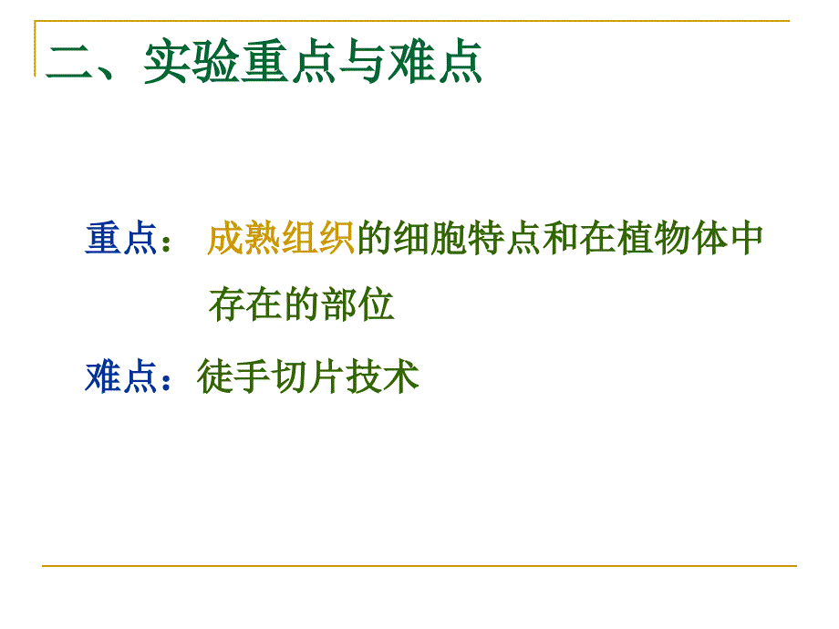 3植物组织(徒手切片)汇总课件_第3页