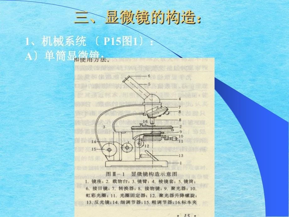 普通光学显微镜的使用及微生物的简单染色ppt课件_第5页