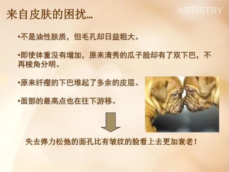 最新弹力提升精华讲师培训aPPT课件_第4页