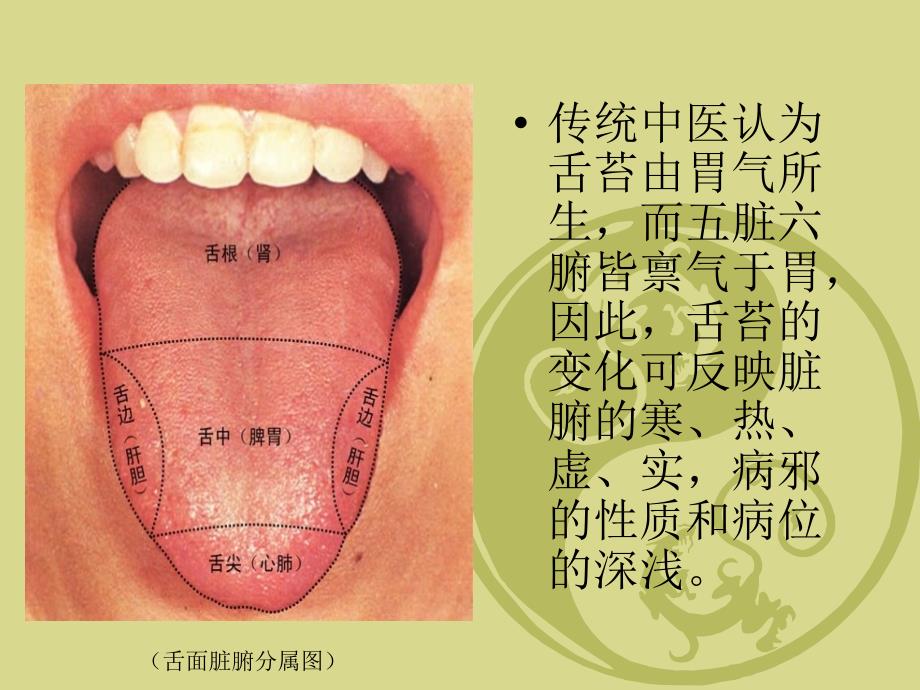 中医论舌苔说课讲解_第4页