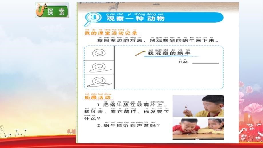 一年级科学下册动物2.3观察一种动物课件教科版教科版小学一年级下册自然科学课件_第5页