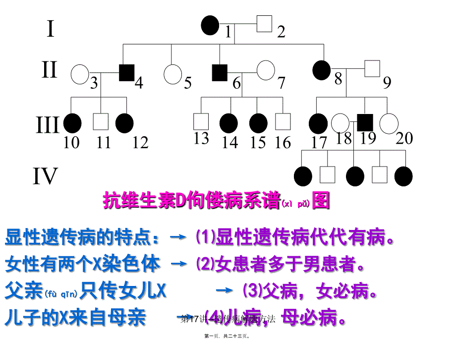 第17讲遗传病解题方法课件_第1页