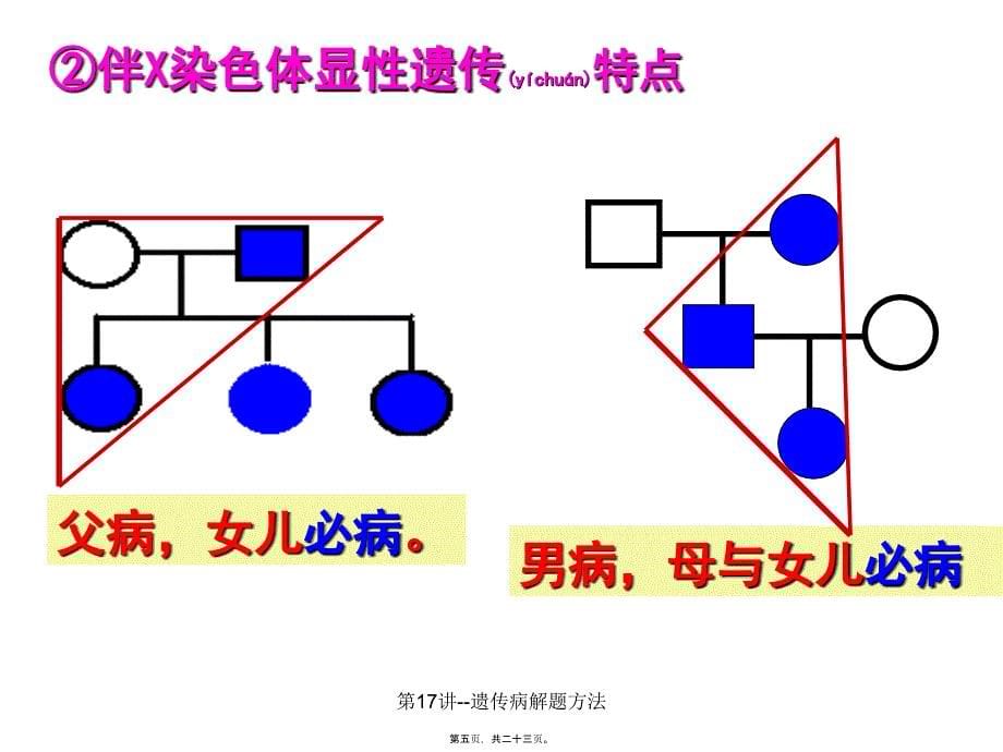 第17讲遗传病解题方法课件_第5页