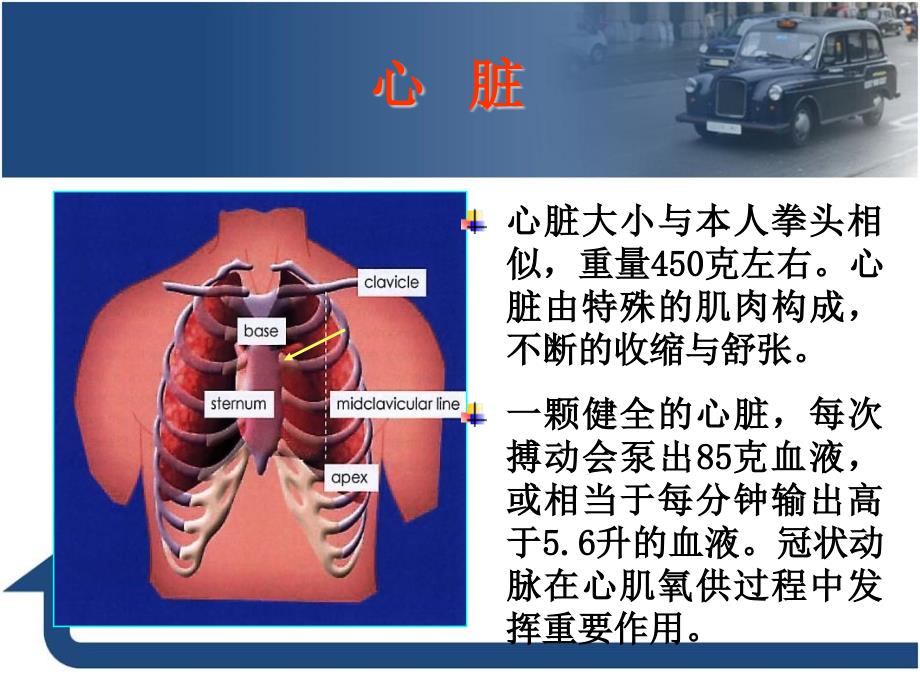 冠心病二级预防_第4页