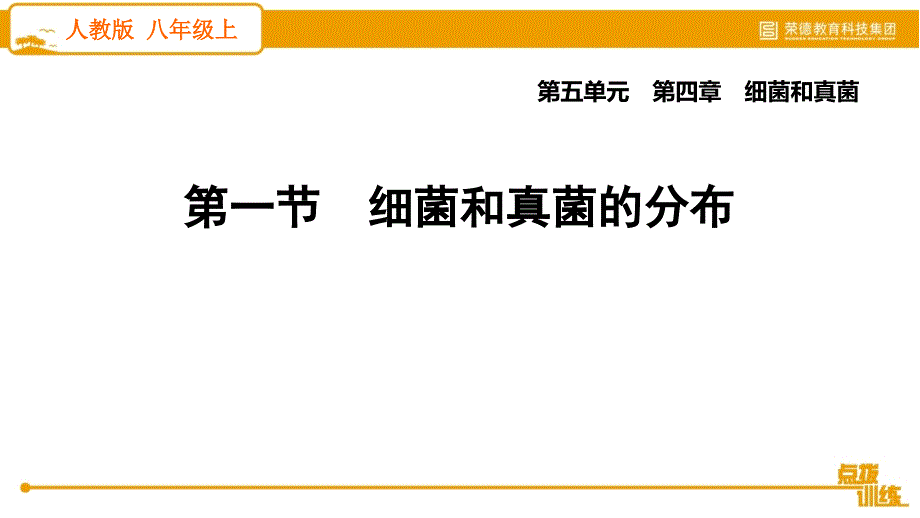 5.4.1 细菌和真菌的分布 2020秋人教版八年级上册生物课件(共19张PPT)_第2页