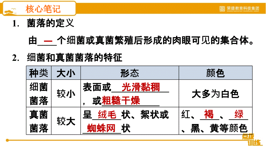 5.4.1 细菌和真菌的分布 2020秋人教版八年级上册生物课件(共19张PPT)_第3页