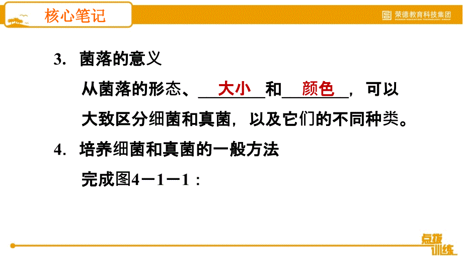 5.4.1 细菌和真菌的分布 2020秋人教版八年级上册生物课件(共19张PPT)_第4页