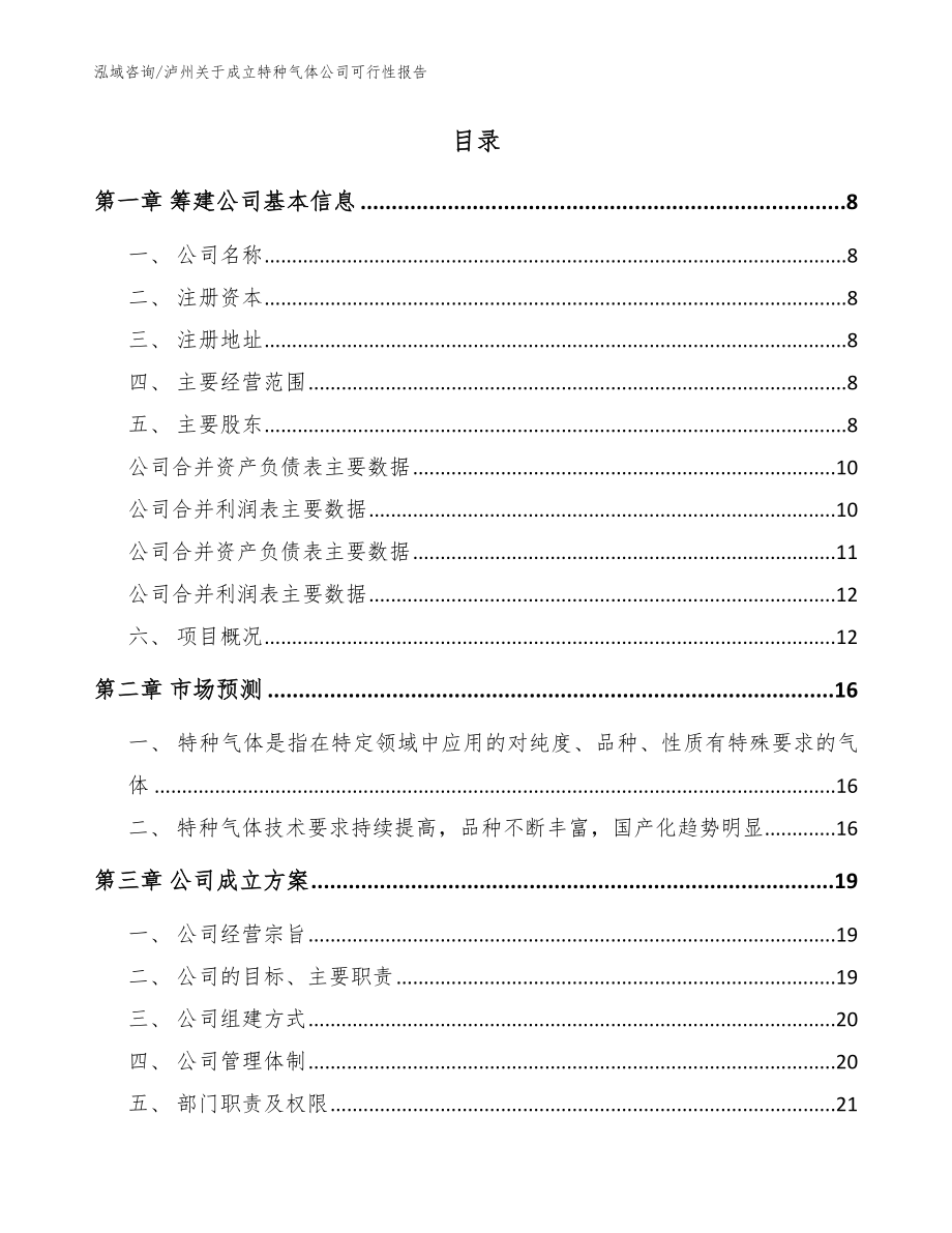 泸州关于成立特种气体公司可行性报告_范文模板_第2页