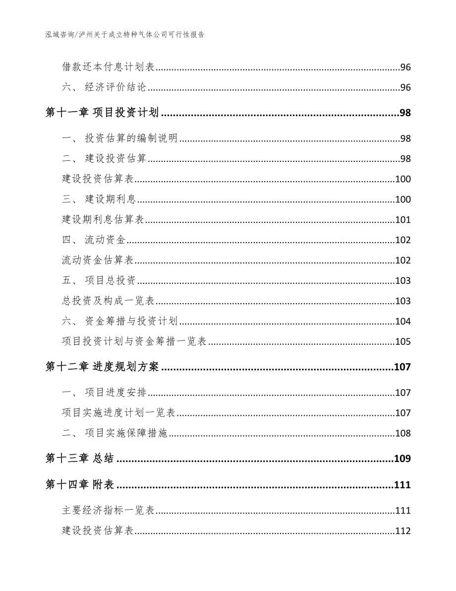 泸州关于成立特种气体公司可行性报告_范文模板_第5页