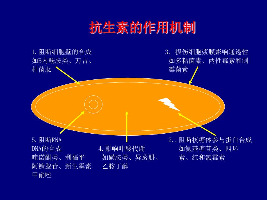 抗生素分类及用药原则专家知识_第2页