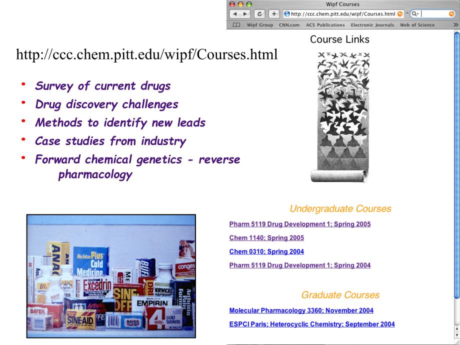 植物学及园艺学英文版 botany and horticulture (89)_第2页