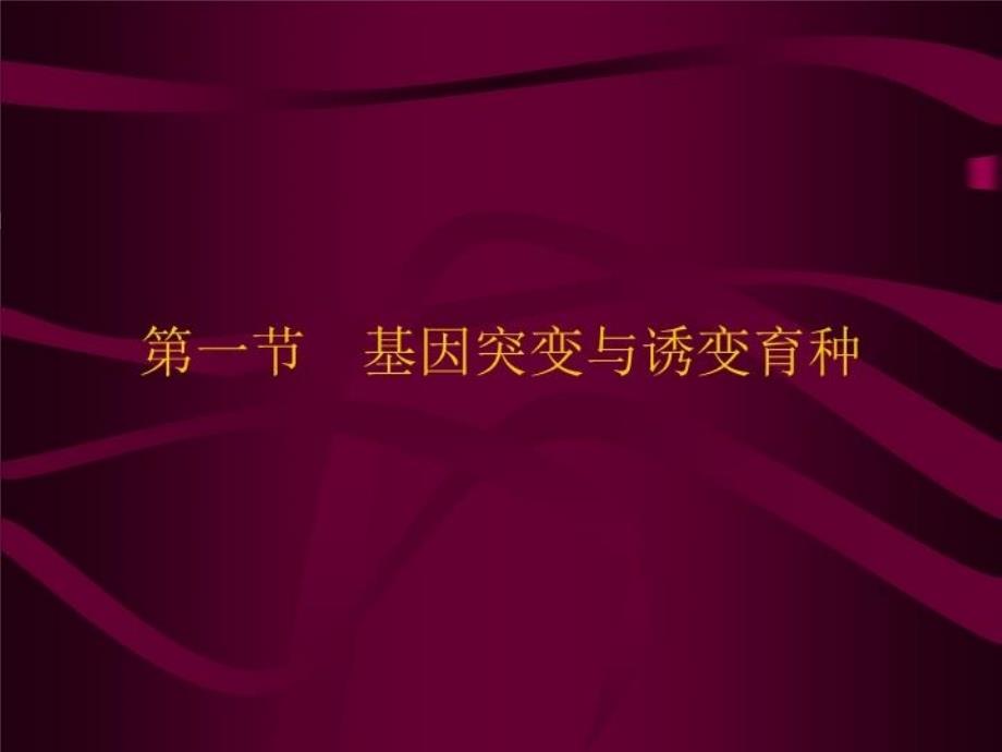 最新微生物的遗传变异与育种PPT课件_第3页