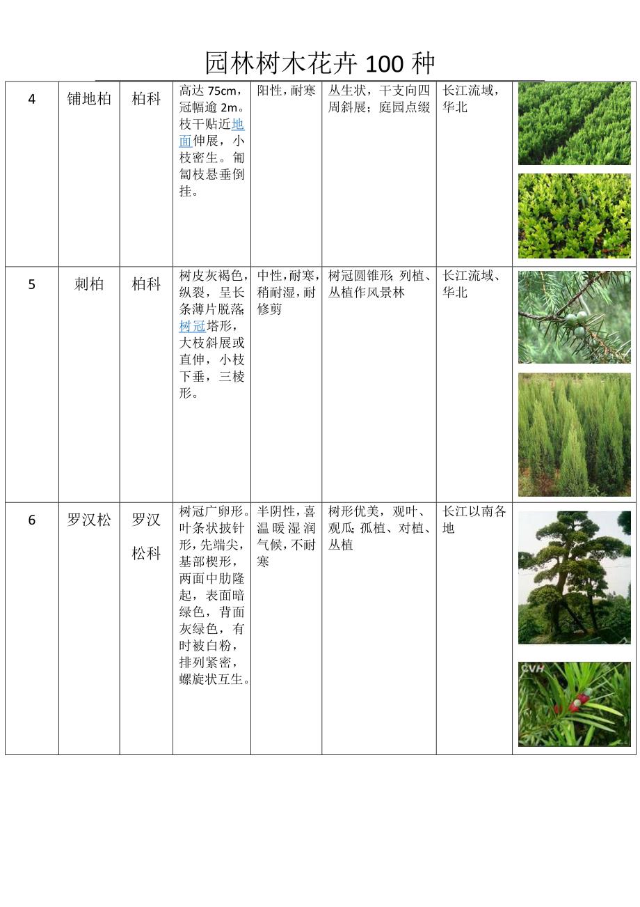 (完整版)园林树木种类表.doc_第2页