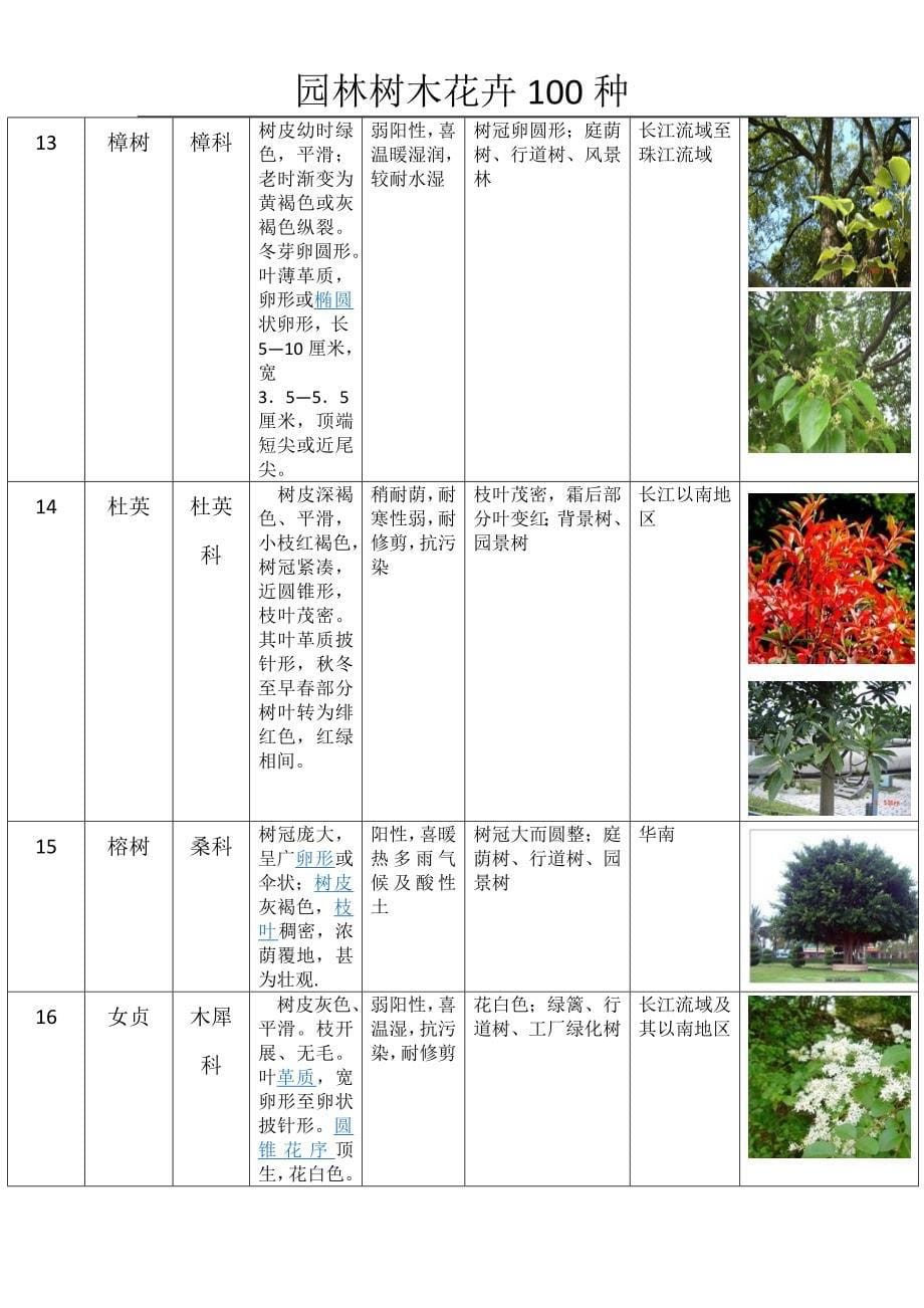 (完整版)园林树木种类表.doc_第5页