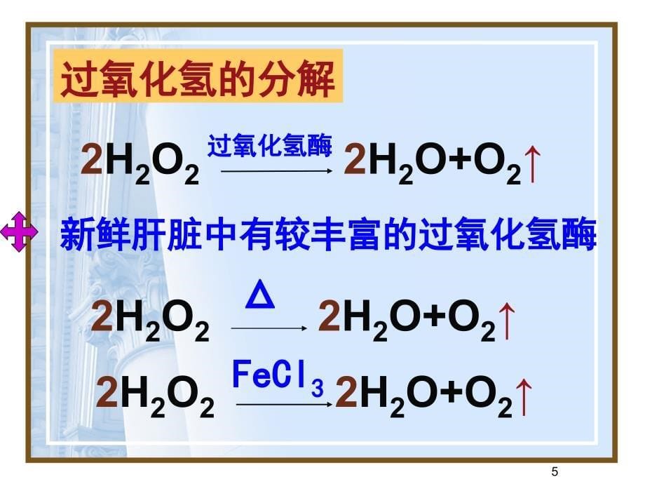 第5章细胞的能量供应和利用_第5页