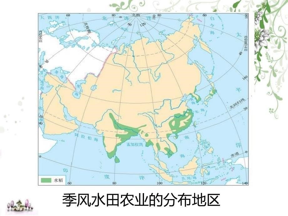 蔡林丽以种植业为主的农业地域类型课件（人教版必修2）_第5页