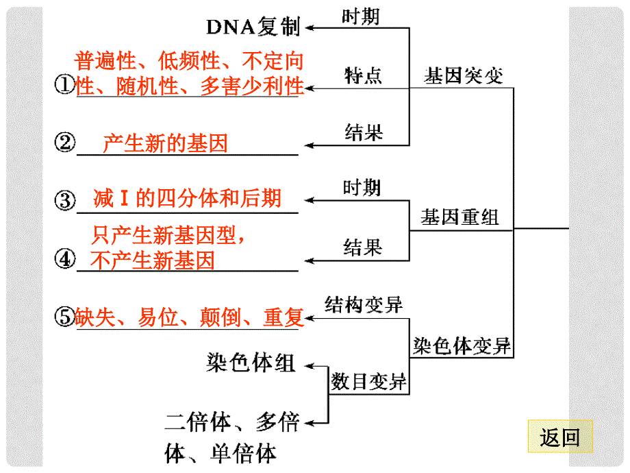 高考二轮专题复习 第一部分专题四 9变异、育种与进化课件_第2页