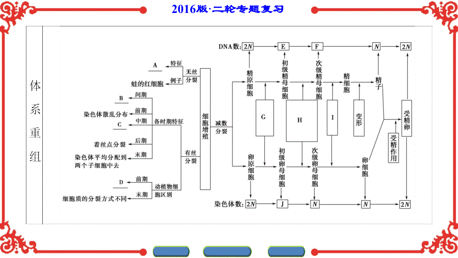 2016版《新坐标》高考生物第二轮复习第1部分-专题3-第1讲.ppt_第3页