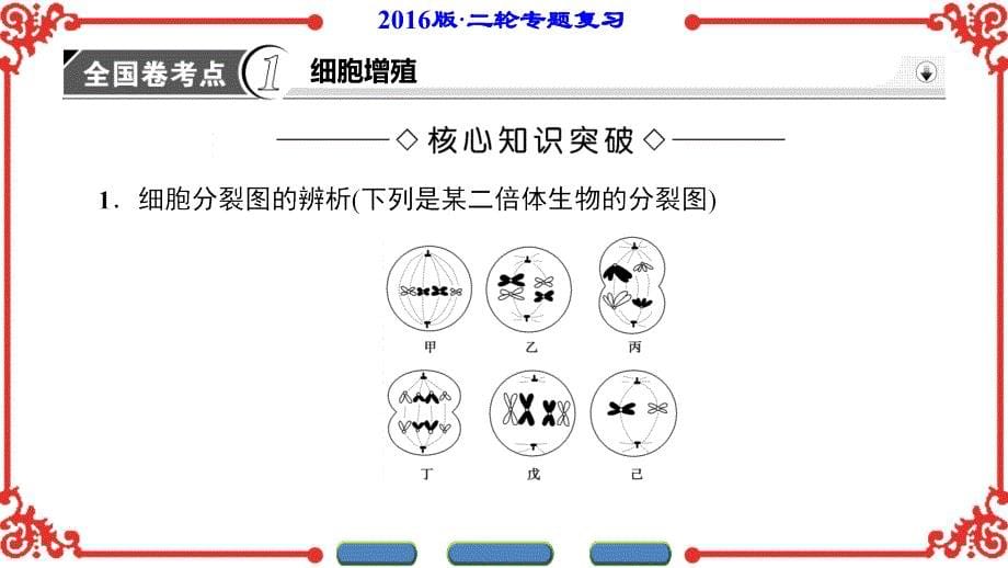 2016版《新坐标》高考生物第二轮复习第1部分-专题3-第1讲.ppt_第5页