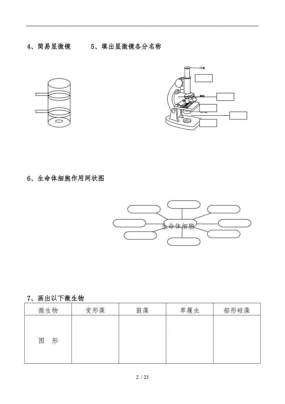 六年级科学下册复习画图与填图和实验题_第2页