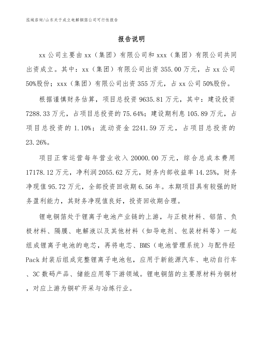 山东关于成立电解铜箔公司可行性报告模板范文_第2页