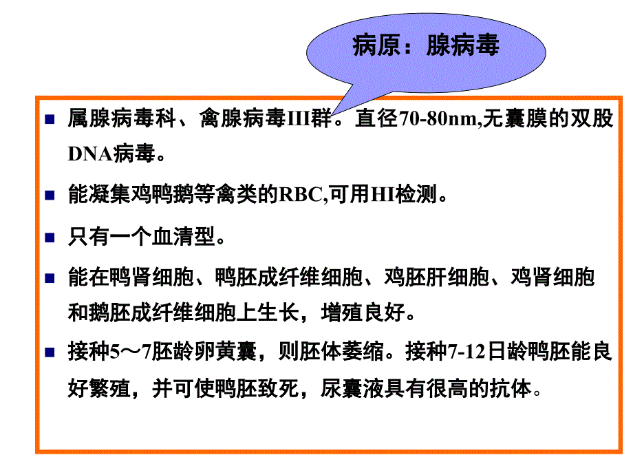 聊城大学农学院禽病学课件病毒病之EDS76_第3页