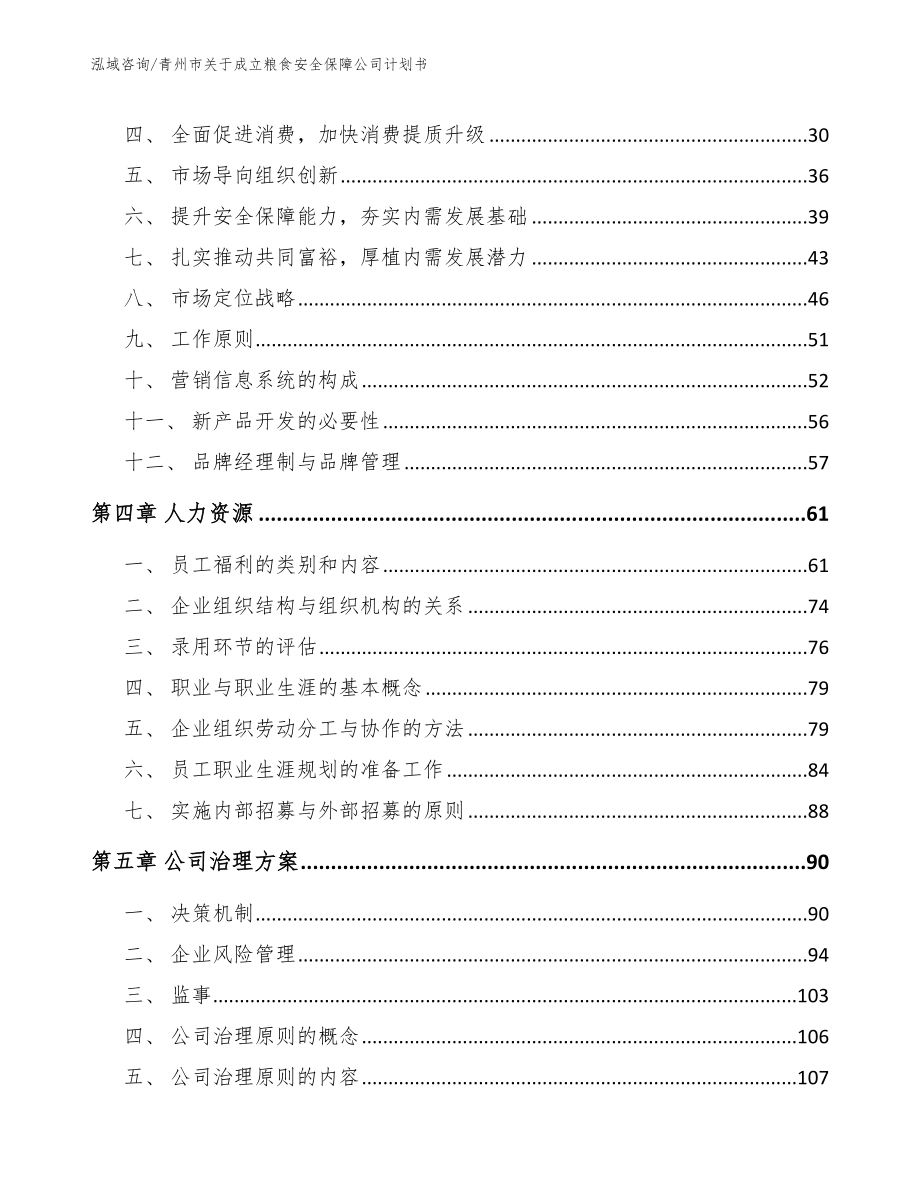 青州市关于成立粮食安全保障公司计划书_模板_第2页