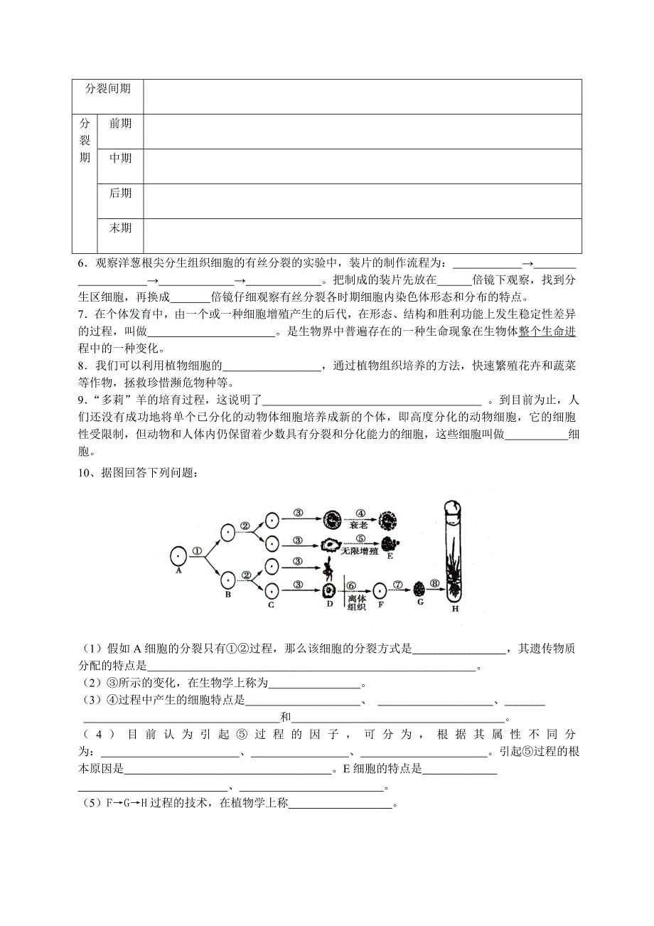 必修1知识填空.doc_第4页