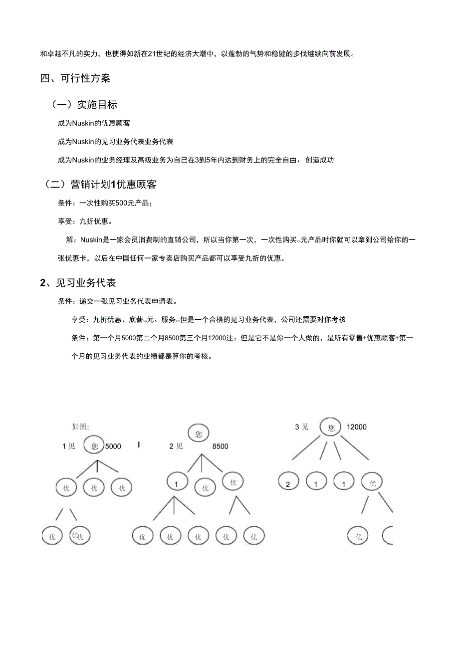 2019年如新事业可行性报告_第4页