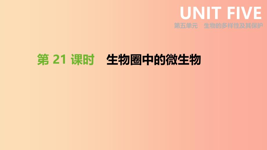 2019年中考生物 专题复习五 生物的多样性及其保护 第21课时 生物圈中的微生物课件 新人教版.ppt_第1页