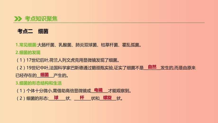 2019年中考生物 专题复习五 生物的多样性及其保护 第21课时 生物圈中的微生物课件 新人教版.ppt_第4页