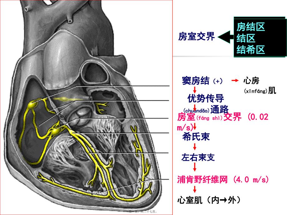 医学专题—章抗心律失常药35610_第1页