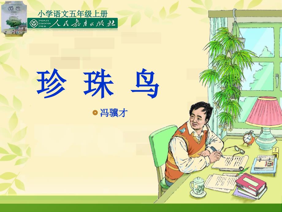 珍珠鸟丁蒙蒙说课_第1页