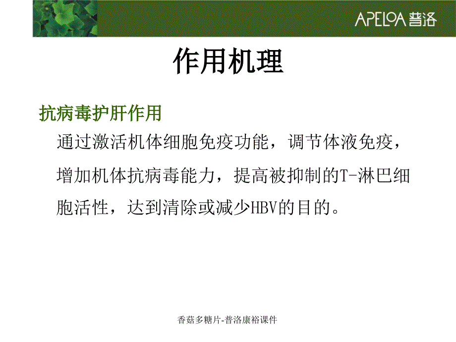 香菇多糖片普洛康裕课件_第4页