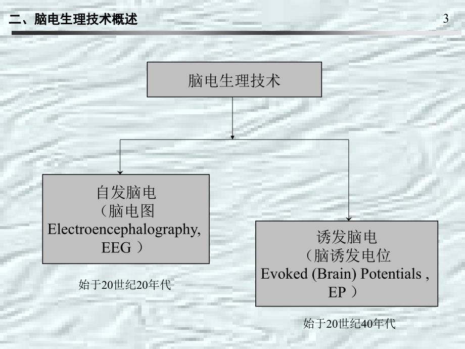 精神障碍的电生理学研究.ppt_第3页