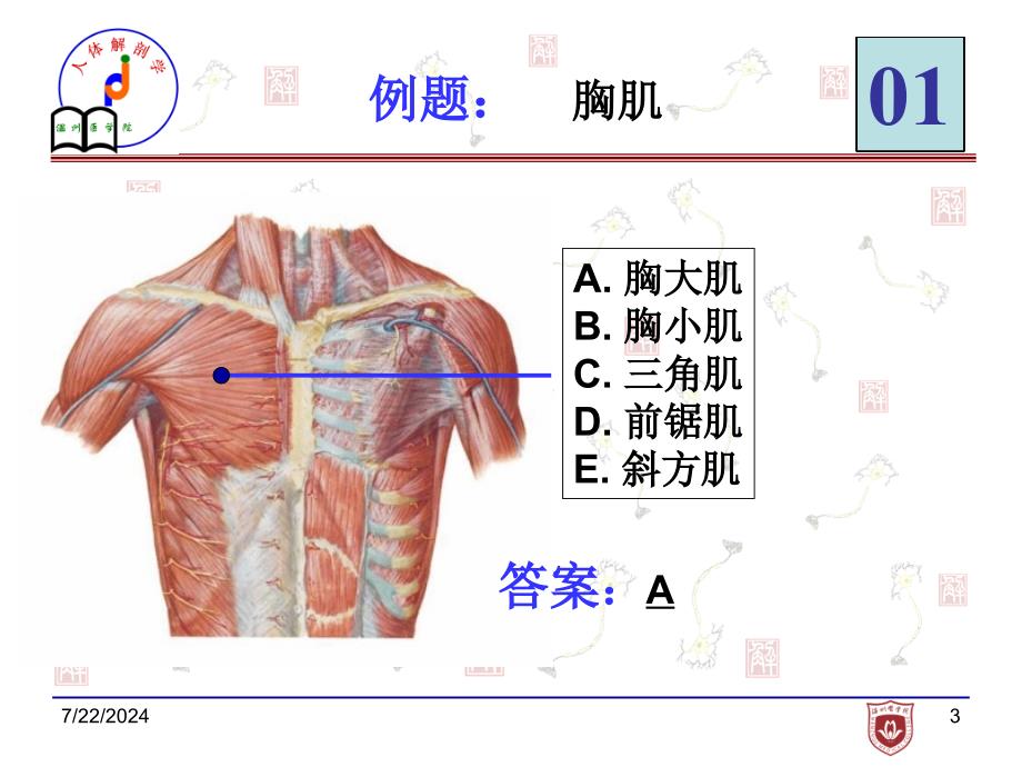 局解实验考试-chr (2)_第2页