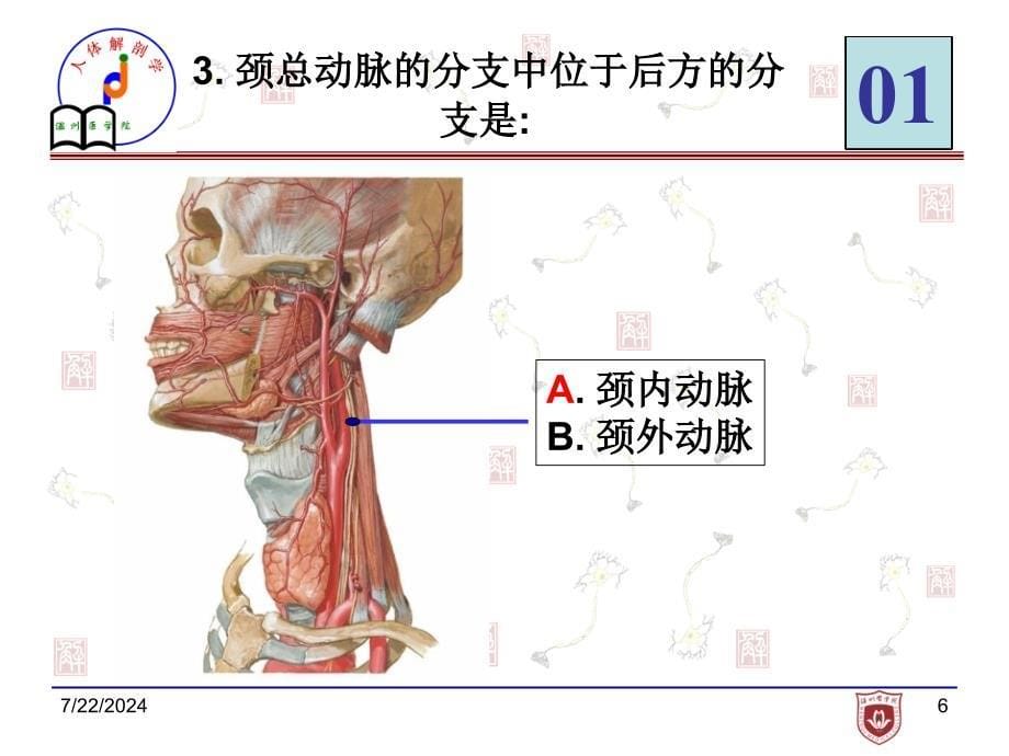 局解实验考试-chr (2)_第5页