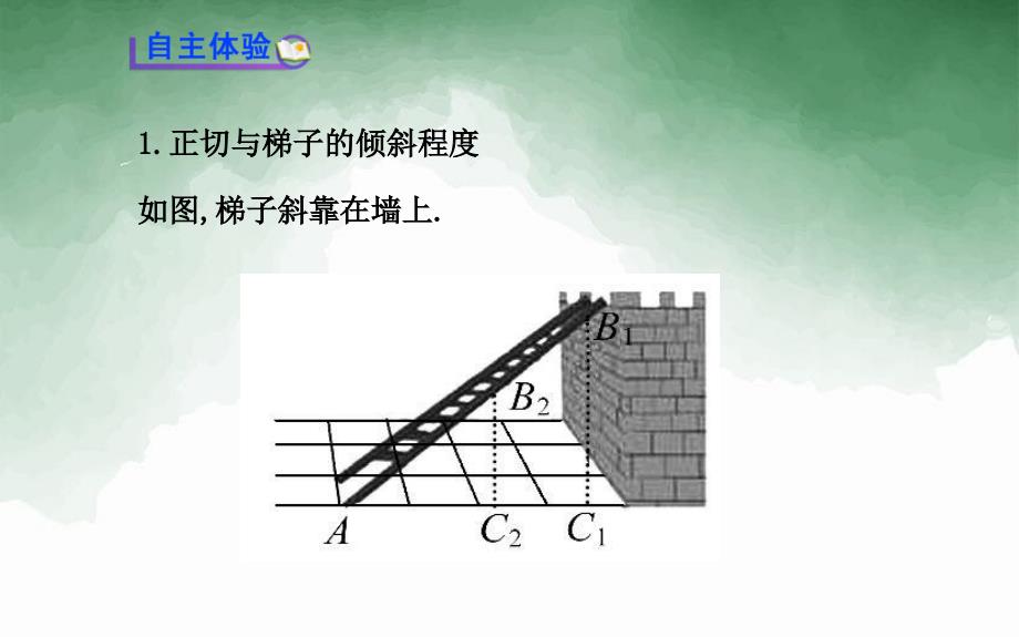 九年级数学下册第一章直角三角形的边角关系1从梯子的倾斜程度谈起第1课时习题课件北师大版_第3页