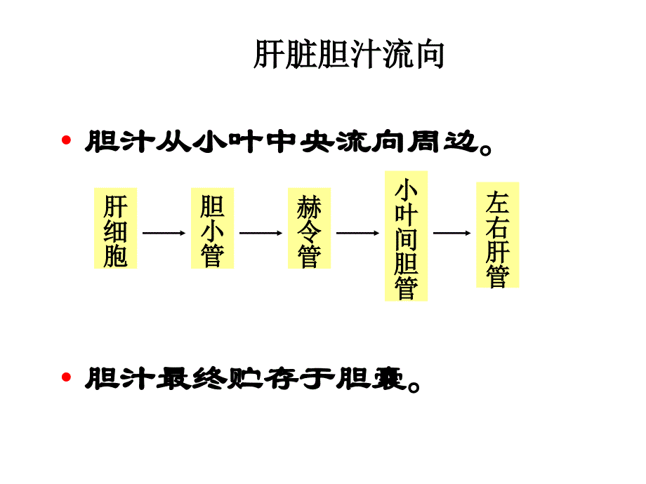 五年制肝不全功能-pp新版t_第3页