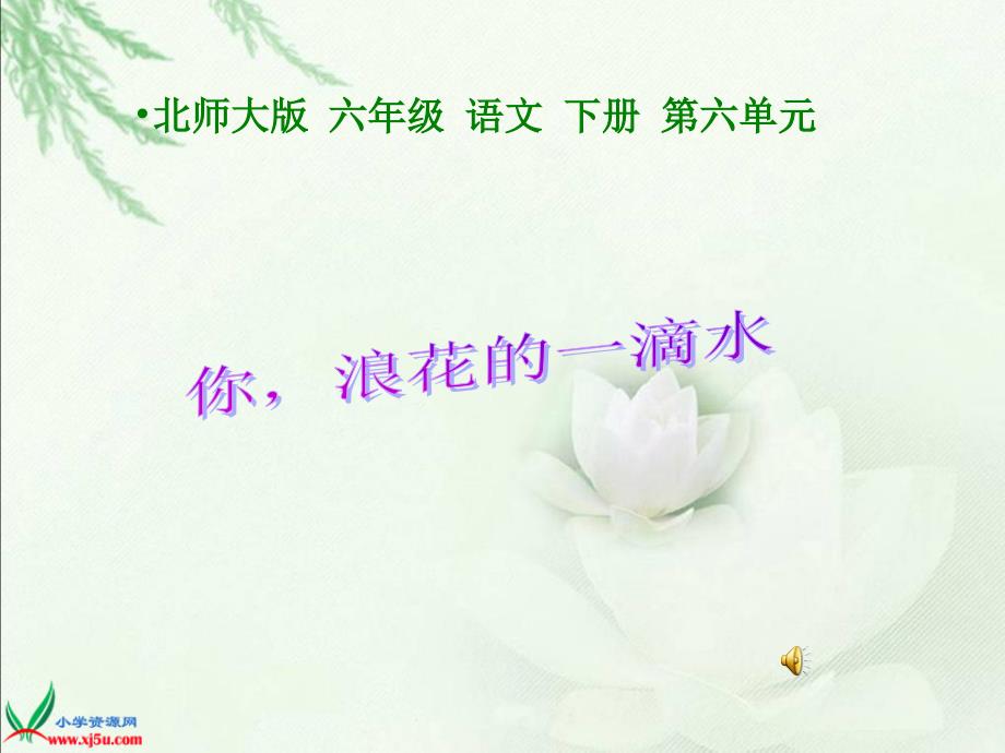 你浪花的一滴水课件（北师大版语文六年级下册）_第1页