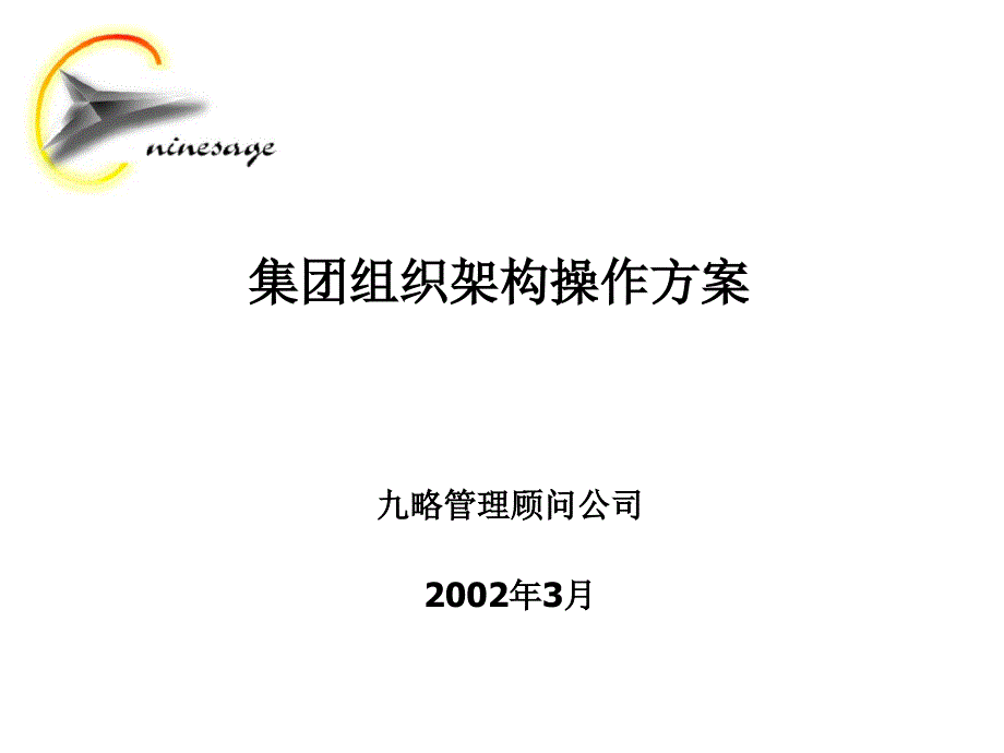 集团组织架构操作方案_第1页