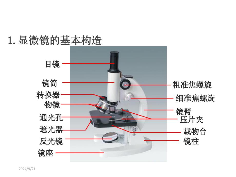 第一节 细胞是生命活动的基本单位课件_第3页