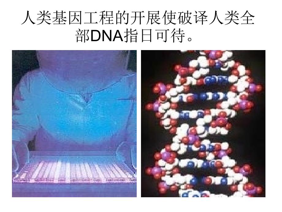 八年级历史科学技术的成就二参考课件4_第3页