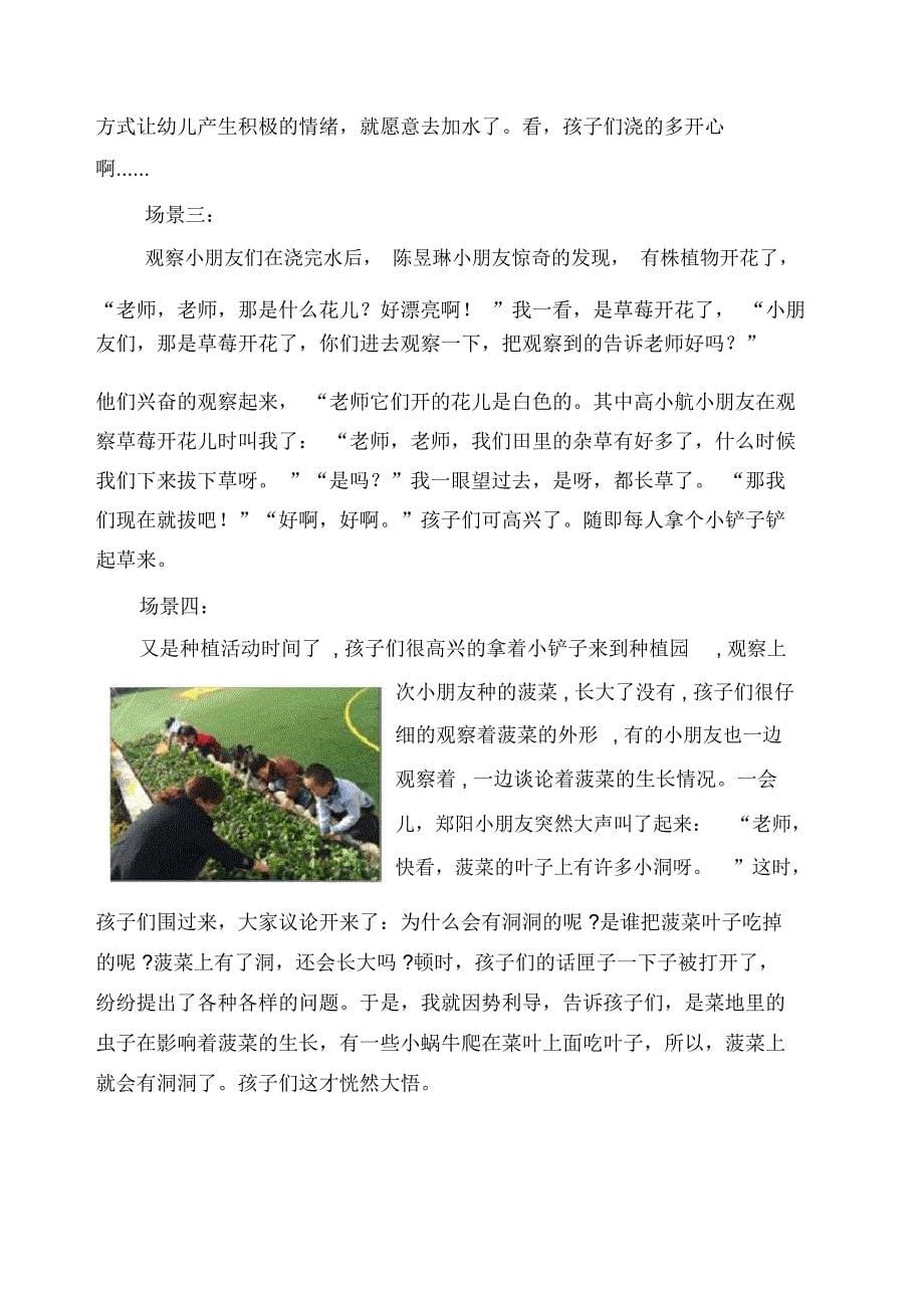 农村幼儿园户外种植区饲养区教研活动记录肖红菊_第5页