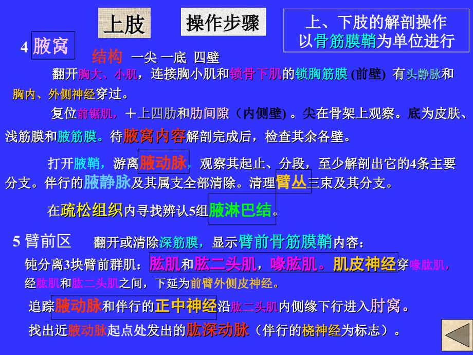 《局解操作上肢》PPT课件_第4页